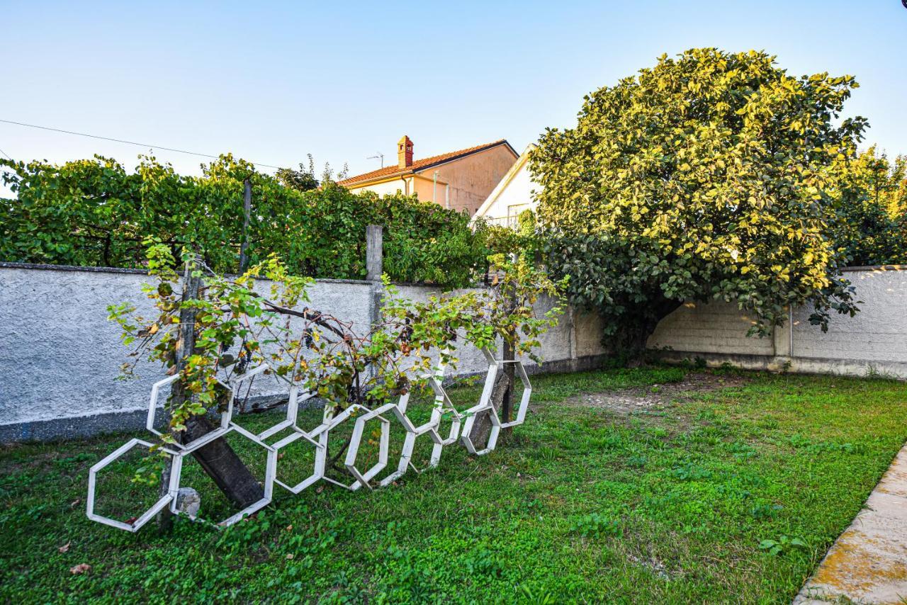 Villa Alba Shkodër 外观 照片